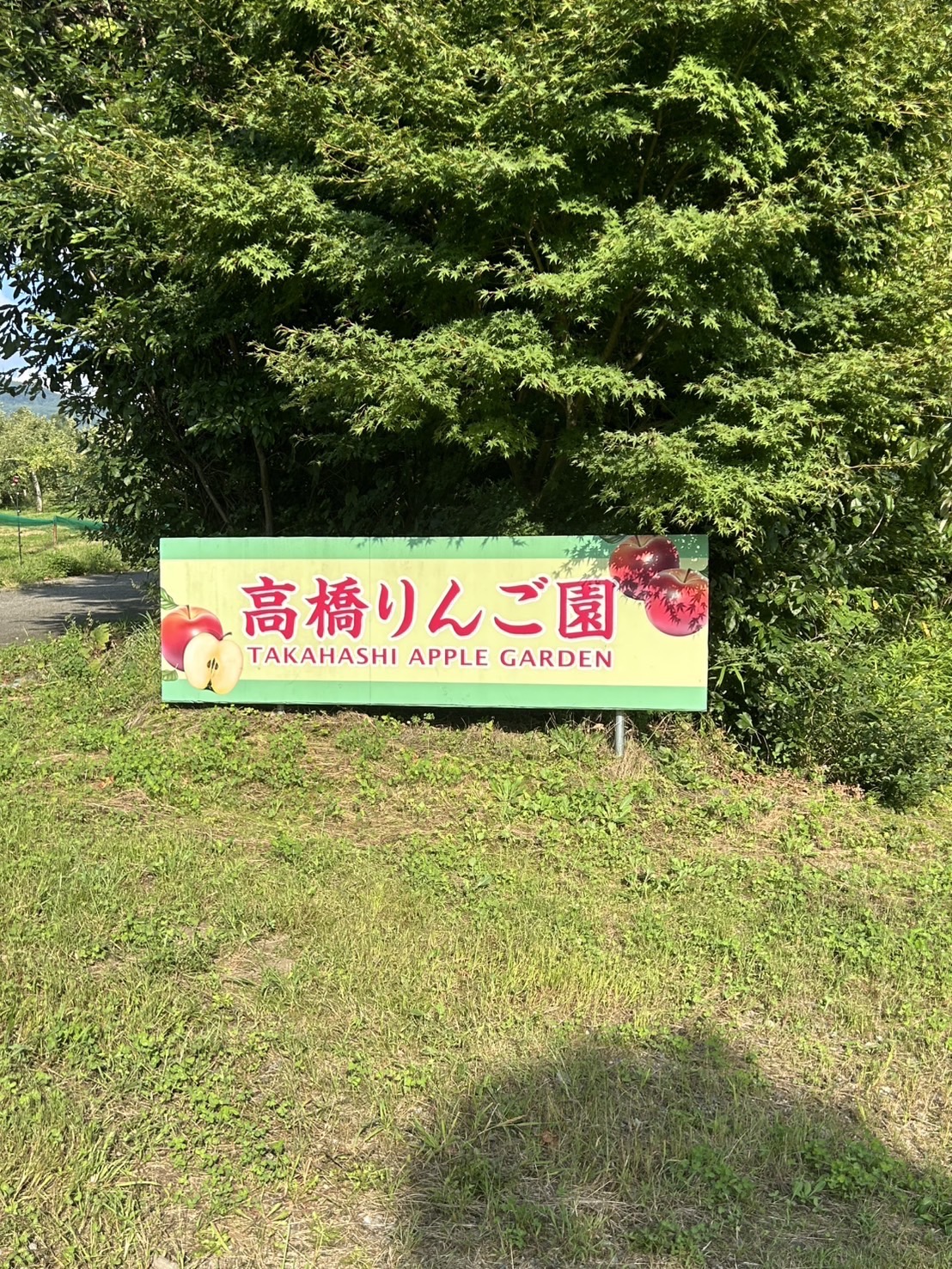 髙橋りんご園のInstagram投稿 - りんごの品種紹介